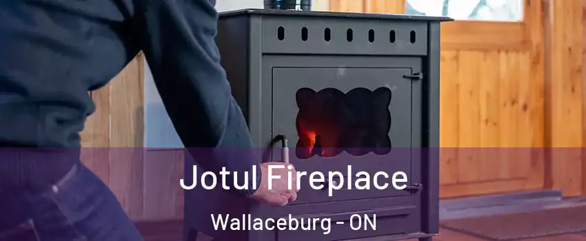  Jotul Fireplace Wallaceburg - ON