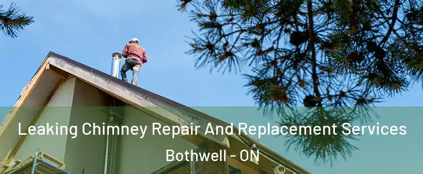  Leaking Chimney Repair And Replacement Services Bothwell - ON