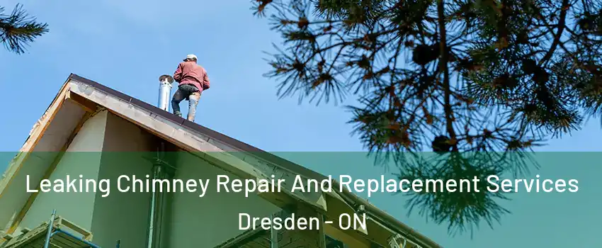  Leaking Chimney Repair And Replacement Services Dresden - ON