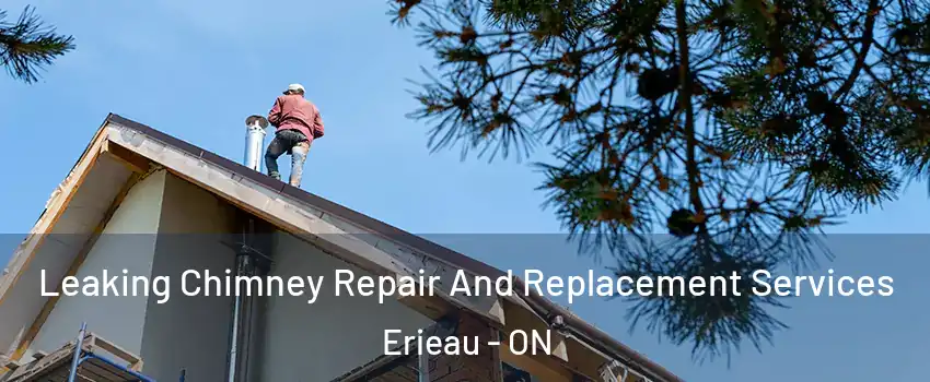  Leaking Chimney Repair And Replacement Services Erieau - ON