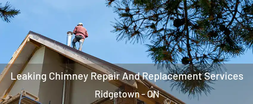  Leaking Chimney Repair And Replacement Services Ridgetown - ON