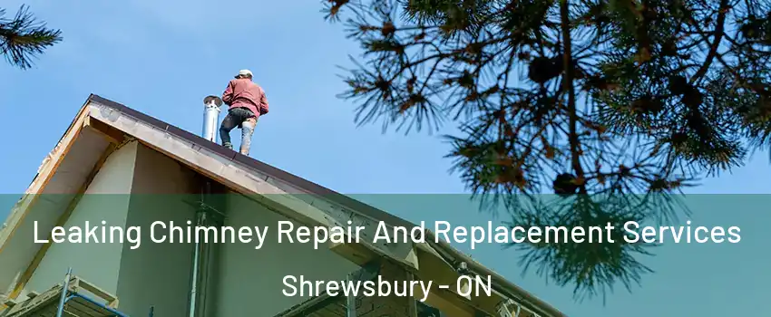  Leaking Chimney Repair And Replacement Services Shrewsbury - ON