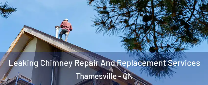  Leaking Chimney Repair And Replacement Services Thamesville - ON