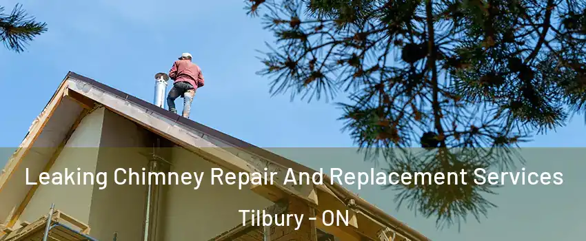  Leaking Chimney Repair And Replacement Services Tilbury - ON
