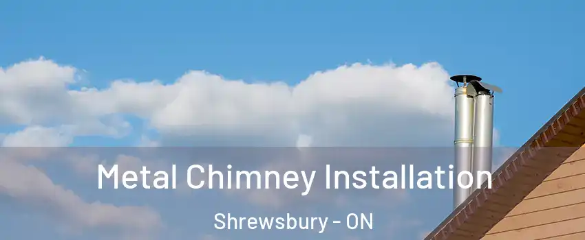  Metal Chimney Installation Shrewsbury - ON