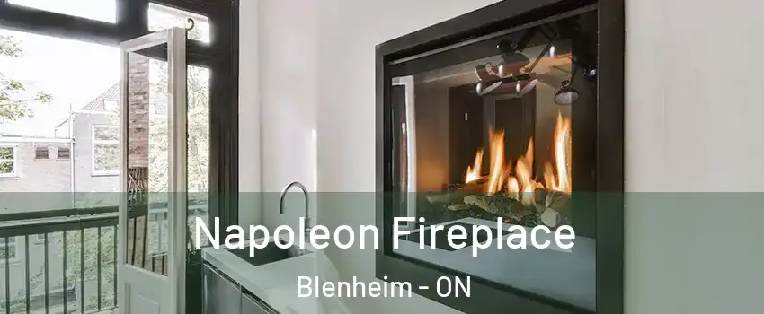  Napoleon Fireplace Blenheim - ON