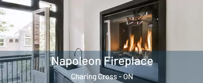  Napoleon Fireplace Charing Cross - ON