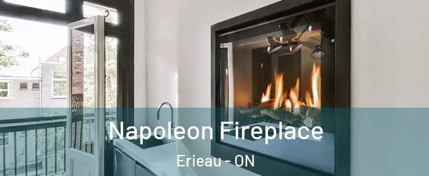  Napoleon Fireplace Erieau - ON