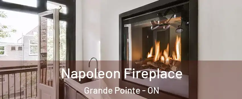  Napoleon Fireplace Grande Pointe - ON