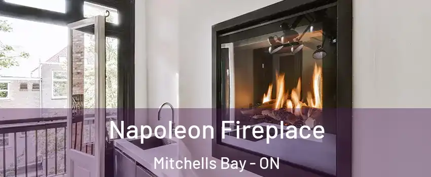  Napoleon Fireplace Mitchells Bay - ON