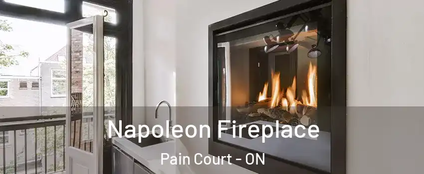  Napoleon Fireplace Pain Court - ON