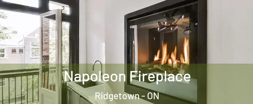  Napoleon Fireplace Ridgetown - ON