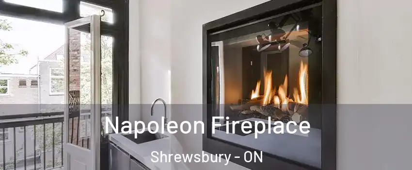  Napoleon Fireplace Shrewsbury - ON