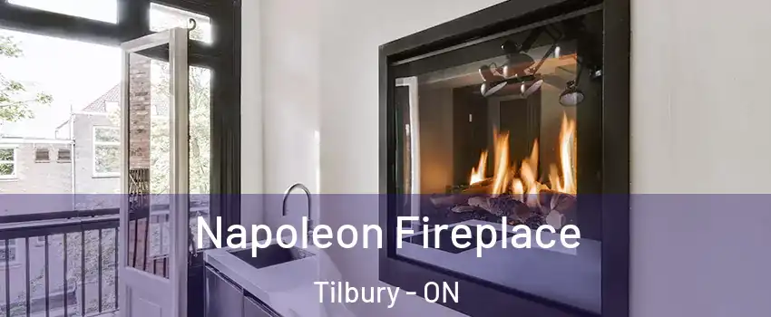  Napoleon Fireplace Tilbury - ON