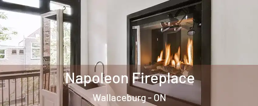  Napoleon Fireplace Wallaceburg - ON