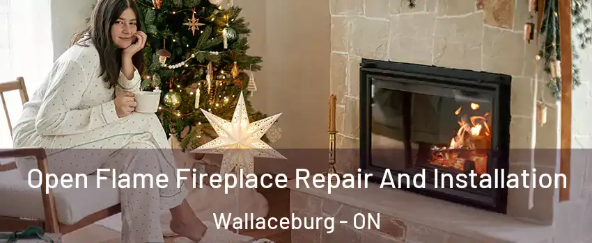  Open Flame Fireplace Repair And Installation Wallaceburg - ON
