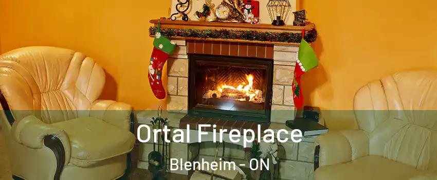 Ortal Fireplace Blenheim - ON