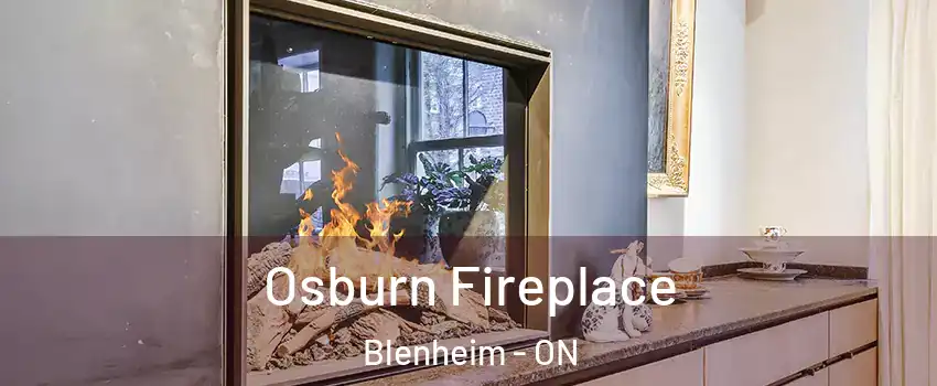  Osburn Fireplace Blenheim - ON