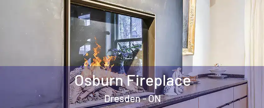  Osburn Fireplace Dresden - ON