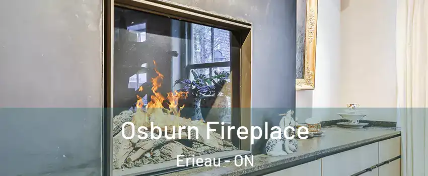  Osburn Fireplace Erieau - ON