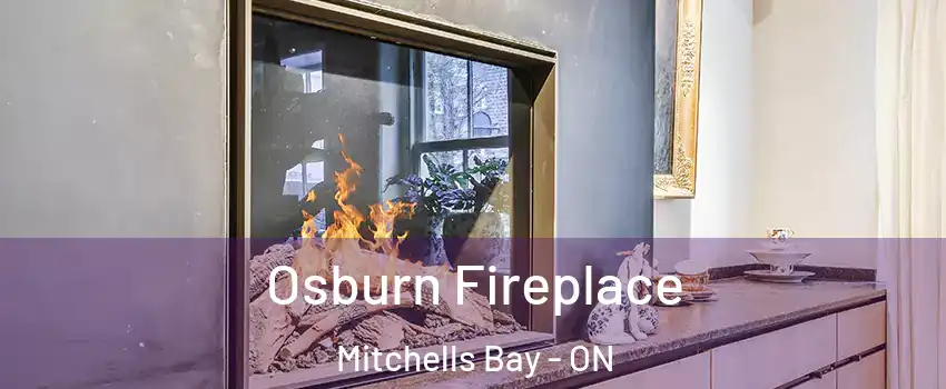  Osburn Fireplace Mitchells Bay - ON