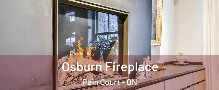  Osburn Fireplace Pain Court - ON