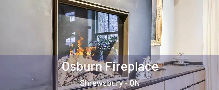  Osburn Fireplace Shrewsbury - ON