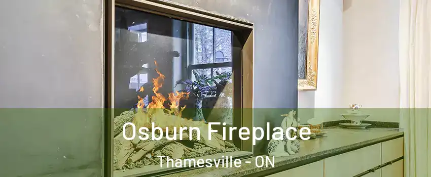  Osburn Fireplace Thamesville - ON