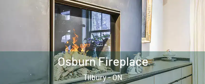  Osburn Fireplace Tilbury - ON