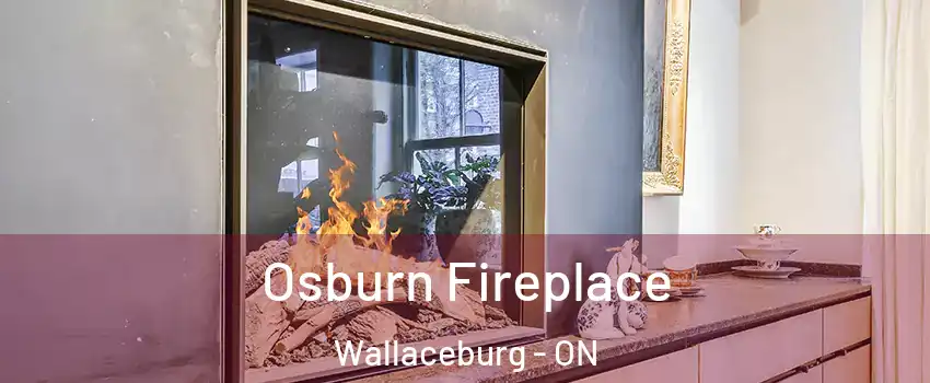  Osburn Fireplace Wallaceburg - ON