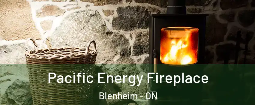  Pacific Energy Fireplace Blenheim - ON