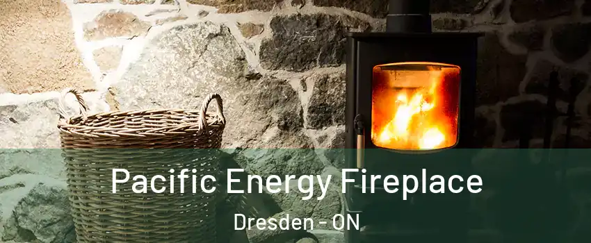  Pacific Energy Fireplace Dresden - ON