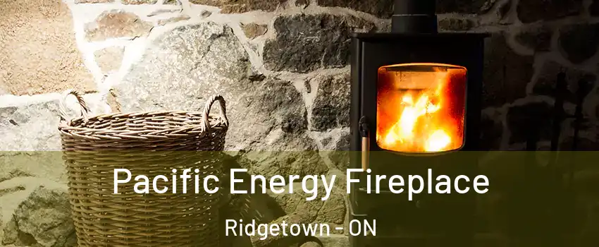  Pacific Energy Fireplace Ridgetown - ON