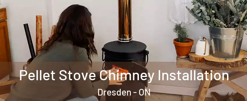  Pellet Stove Chimney Installation Dresden - ON