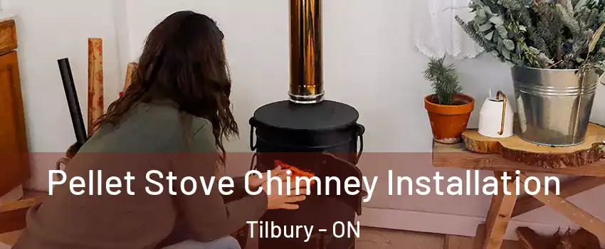  Pellet Stove Chimney Installation Tilbury - ON