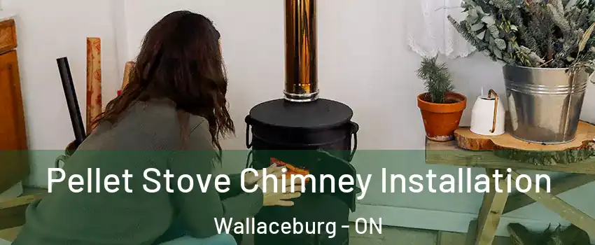  Pellet Stove Chimney Installation Wallaceburg - ON