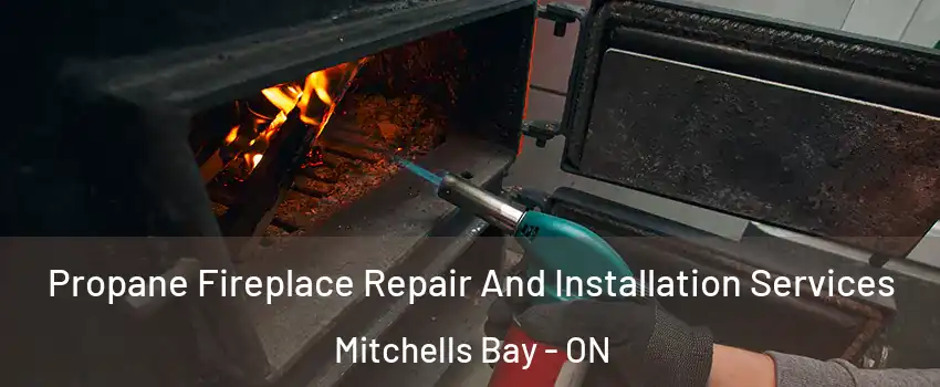 Propane Fireplace Repair And Installation Services Mitchells Bay - ON