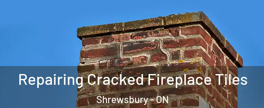  Repairing Cracked Fireplace Tiles Shrewsbury - ON