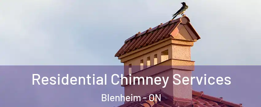  Residential Chimney Services Blenheim - ON