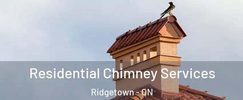  Residential Chimney Services Ridgetown - ON