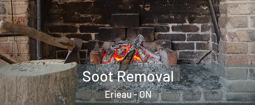  Soot Removal Erieau - ON