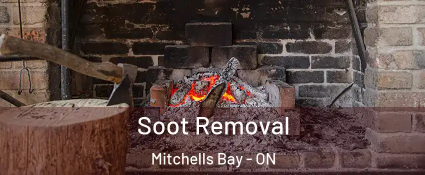  Soot Removal Mitchells Bay - ON