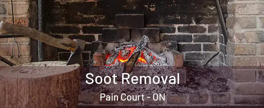  Soot Removal Pain Court - ON