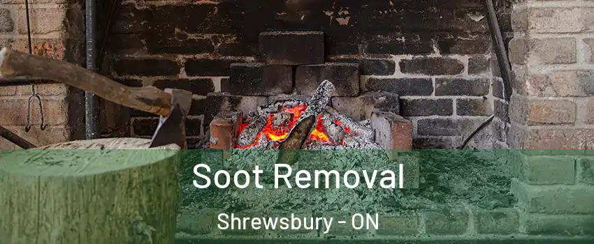  Soot Removal Shrewsbury - ON