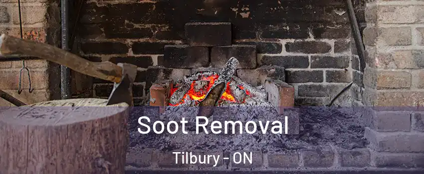  Soot Removal Tilbury - ON