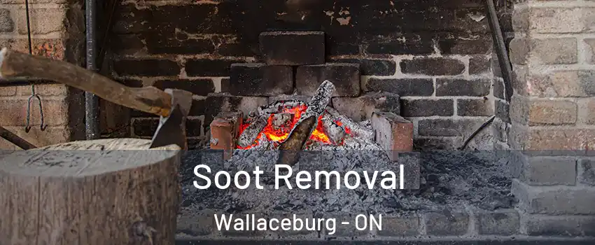  Soot Removal Wallaceburg - ON
