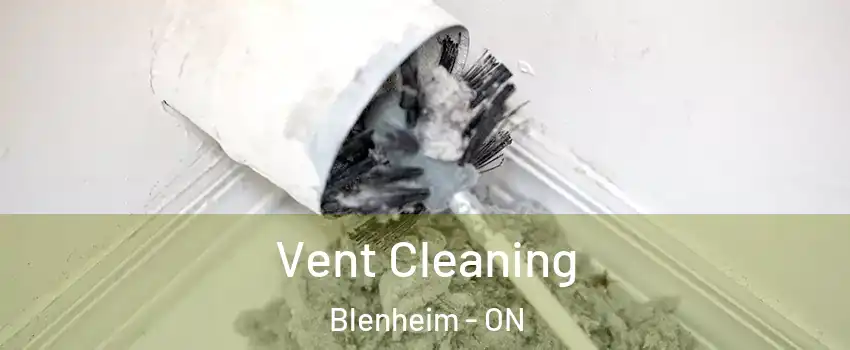  Vent Cleaning Blenheim - ON