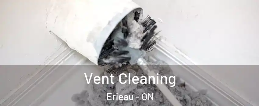  Vent Cleaning Erieau - ON