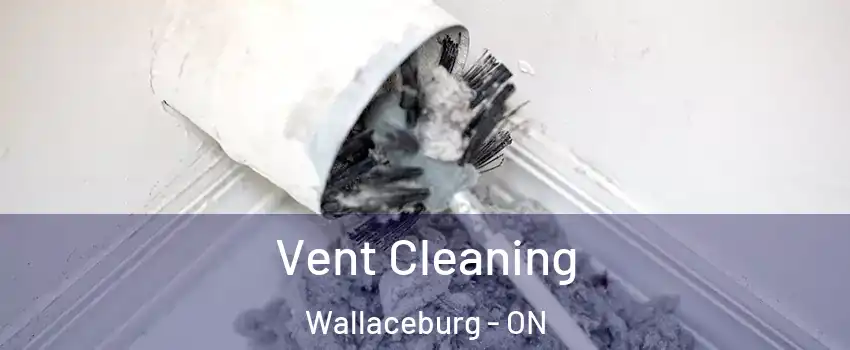  Vent Cleaning Wallaceburg - ON