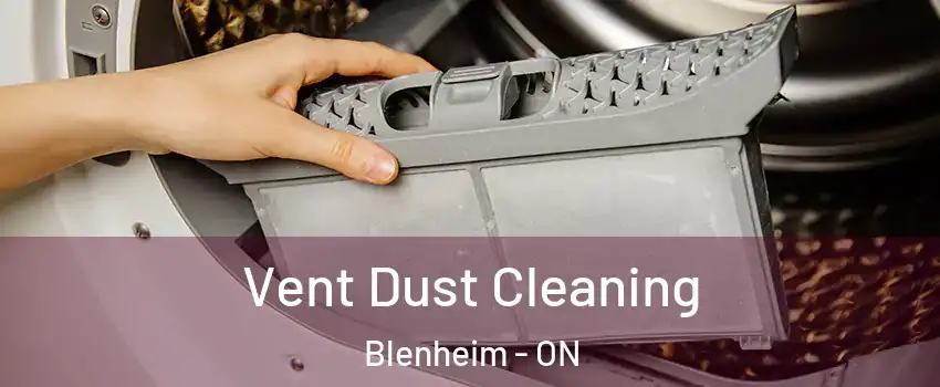  Vent Dust Cleaning Blenheim - ON